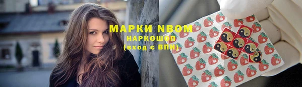 PSILOCYBIN Алзамай