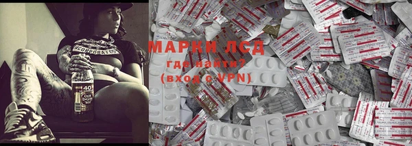 PSILOCYBIN Алзамай