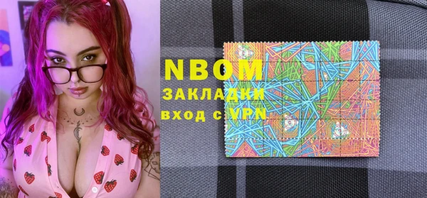 PSILOCYBIN Алзамай