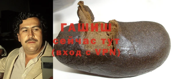 PSILOCYBIN Алзамай